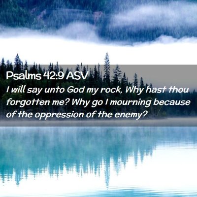 Picture 02 - Psalms 42:9 ASV - I will say unto God my rock, Why hast thou - Bible Verse Picture
