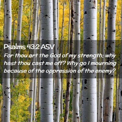 Picture 02 - Psalms 43:2 ASV - For thou art the God of my strength; why hast - Bible Verse Picture