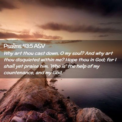 Picture 02 - Psalms 43:5 ASV - Why art thou cast down, O my soul? And why art - Bible Verse Picture