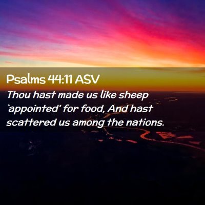 Picture 02 - Psalms 44:11 ASV - Thou hast made us like sheep `appointed' for - Bible Verse Picture