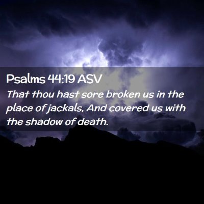 Picture 02 - Psalms 44:19 ASV - That thou hast sore broken us in the place of - Bible Verse Picture