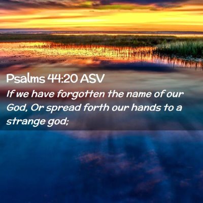 Picture 02 - Psalms 44:20 ASV - If we have forgotten the name of our God, Or - Bible Verse Picture