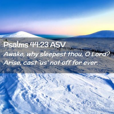 Picture 02 - Psalms 44:23 ASV - Awake, why sleepest thou, O Lord? Arise, cast - Bible Verse Picture