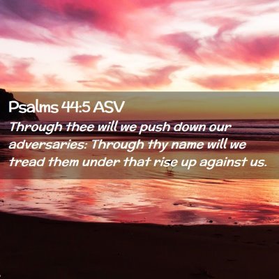 Picture 02 - Psalms 44:5 ASV - Through thee will we push down our adversaries: - Bible Verse Picture