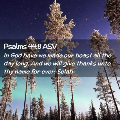 Picture 02 - Psalms 44:8 ASV - In God have we made our boast all the day long, - Bible Verse Picture