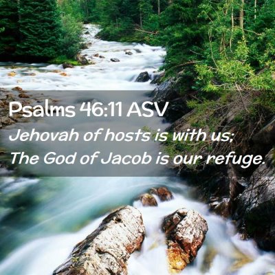 Picture 02 - Psalms 46:11 ASV - Jehovah of hosts is with us; The God of Jacob is - Bible Verse Picture