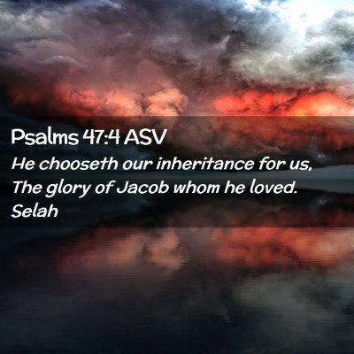 Picture 02 - Psalms 47:4 ASV - He chooseth our inheritance for us, The glory of - Bible Verse Picture