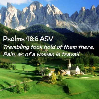 Picture 02 - Psalms 48:6 ASV - Trembling took hold of them there, Pain, as of a - Bible Verse Picture