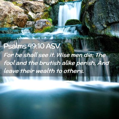 Picture 02 - Psalms 49:10 ASV - For he shall see it. Wise men die; The fool and - Bible Verse Picture