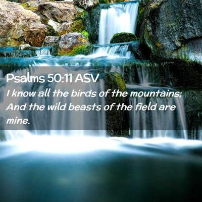 Picture 02 - Psalms 50:11 ASV - I know all the birds of the mountains; And the - Bible Verse Picture