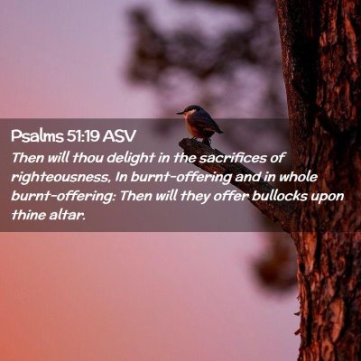 Picture 02 - Psalms 51:19 ASV - Then will thou delight in the sacrifices of - Bible Verse Picture