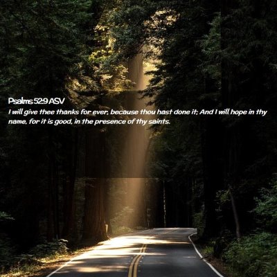Picture 02 - Psalms 52:9 ASV - I will give thee thanks for ever, because thou - Bible Verse Picture