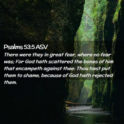 Picture 02 - Psalms 53:5 ASV - There were they in great fear, where no fear was; - Bible Verse Picture