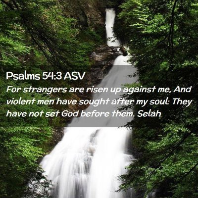 Picture 02 - Psalms 54:3 ASV - For strangers are risen up against me, And - Bible Verse Picture