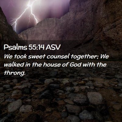 Picture 02 - Psalms 55:14 ASV - We took sweet counsel together; We walked in the - Bible Verse Picture