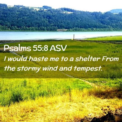 Picture 02 - Psalms 55:8 ASV - I would haste me to a shelter From the stormy - Bible Verse Picture