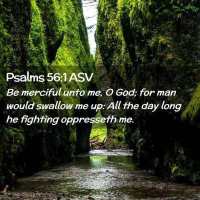 Picture 02 - Psalms 56:1 ASV - Be merciful unto me, O God; for man would swallow - Bible Verse Picture