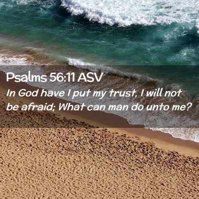 Picture 02 - Psalms 56:11 ASV - In God have I put my trust, I will not be afraid; - Bible Verse Picture