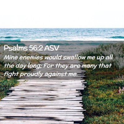 Picture 02 - Psalms 56:2 ASV - Mine enemies would swallow me up all the day - Bible Verse Picture