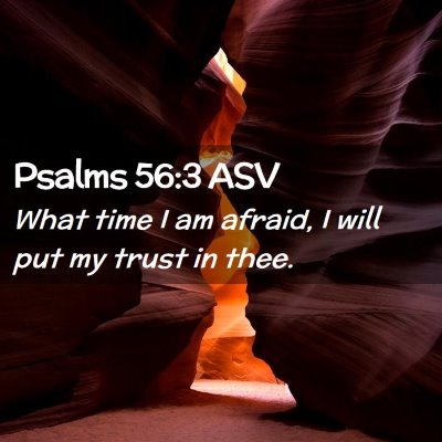 Picture 02 - Psalms 56:3 ASV - What time I am afraid, I will put my trust in - Bible Verse Picture