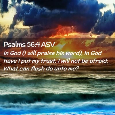 Picture 02 - Psalms 56:4 ASV - In God (I will praise his word), In God have I - Bible Verse Picture