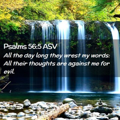 Picture 02 - Psalms 56:5 ASV - All the day long they wrest my words: All their - Bible Verse Picture