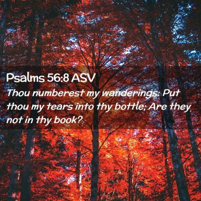 Picture 02 - Psalms 56:8 ASV - Thou numberest my wanderings: Put thou my tears - Bible Verse Picture
