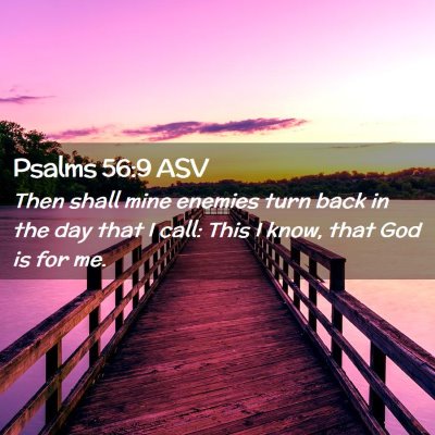 Picture 02 - Psalms 56:9 ASV - Then shall mine enemies turn back in the day that - Bible Verse Picture