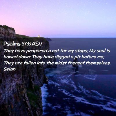 Picture 02 - Psalms 57:6 ASV - They have prepared a net for my steps; My soul is - Bible Verse Picture