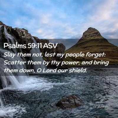 Picture 02 - Psalms 59:11 ASV - Slay them not, lest my people forget: Scatter - Bible Verse Picture