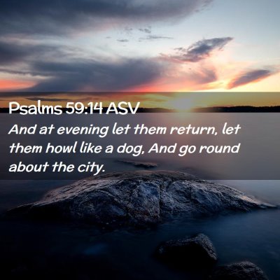 Picture 02 - Psalms 59:14 ASV - And at evening let them return, let them howl - Bible Verse Picture