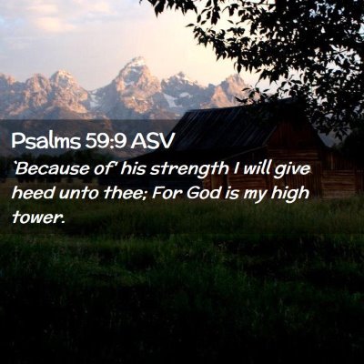Picture 02 - Psalms 59:9 ASV - `Because of' his strength I will give heed unto - Bible Verse Picture