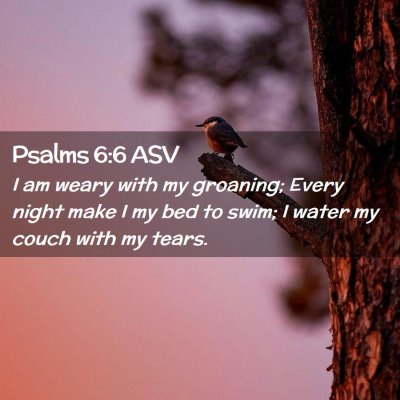 Picture 02 - Psalms 6:6 ASV - I am weary with my groaning; Every night make I - Bible Verse Picture
