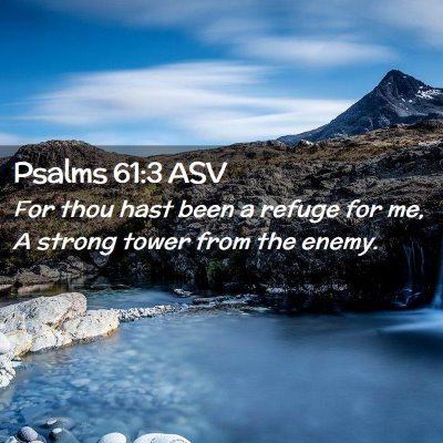 Picture 02 - Psalms 61:3 ASV - For thou hast been a refuge for me, A strong - Bible Verse Picture