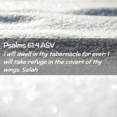 Picture 02 - Psalms 61:4 ASV - I will dwell in thy tabernacle for ever: I will - Bible Verse Picture