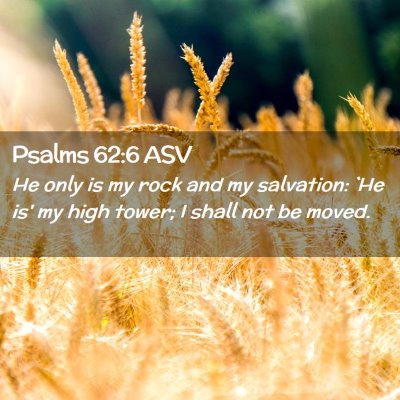 Picture 02 - Psalms 62:6 ASV - He only is my rock and my salvation: `He is' my - Bible Verse Picture