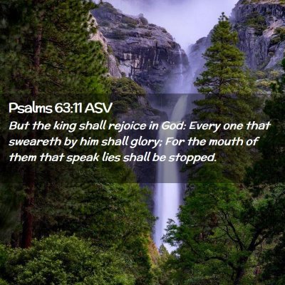 Picture 02 - Psalms 63:11 ASV - But the king shall rejoice in God: Every one that - Bible Verse Picture