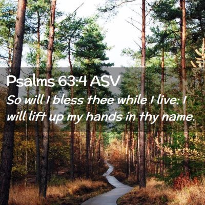 Picture 02 - Psalms 63:4 ASV - So will I bless thee while I live: I will lift up - Bible Verse Picture