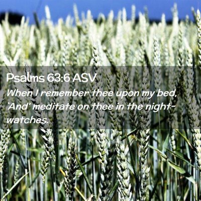 Picture 02 - Psalms 63:6 ASV - When I remember thee upon my bed, `And' meditate - Bible Verse Picture