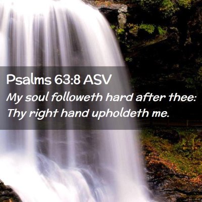 Picture 02 - Psalms 63:8 ASV - My soul followeth hard after thee: Thy right hand - Bible Verse Picture