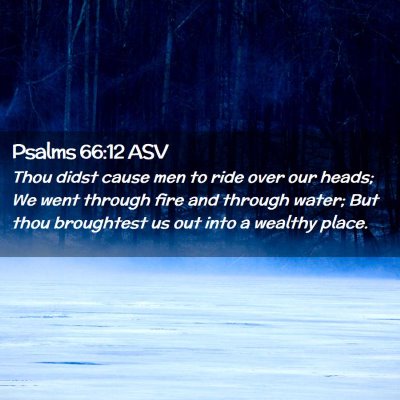 Picture 02 - Psalms 66:12 ASV - Thou didst cause men to ride over our heads; We - Bible Verse Picture