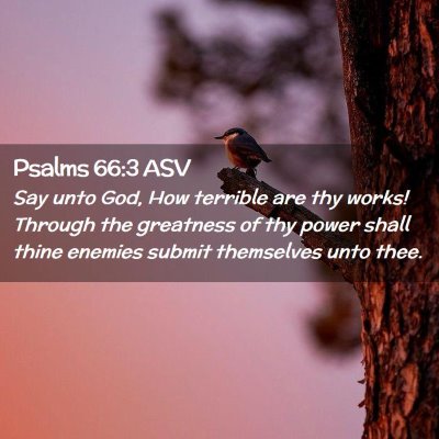 Picture 02 - Psalms 66:3 ASV - Say unto God, How terrible are thy works! Through - Bible Verse Picture