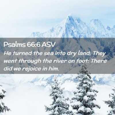 Picture 02 - Psalms 66:6 ASV - He turned the sea into dry land; They went - Bible Verse Picture