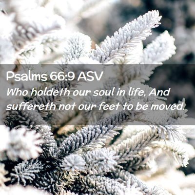Picture 02 - Psalms 66:9 ASV - Who holdeth our soul in life, And suffereth not - Bible Verse Picture