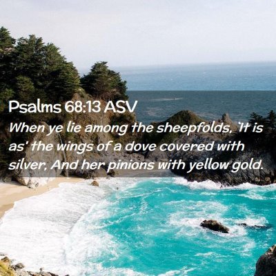 Picture 02 - Psalms 68:13 ASV - When ye lie among the sheepfolds, `It is as' the - Bible Verse Picture