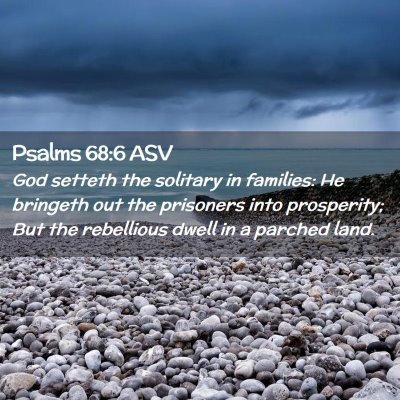 Picture 02 - Psalms 68:6 ASV - God setteth the solitary in families: He bringeth - Bible Verse Picture