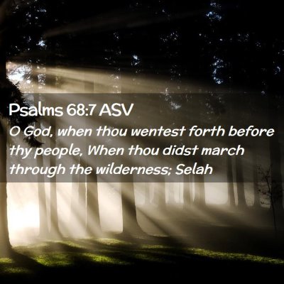 Picture 02 - Psalms 68:7 ASV - O God, when thou wentest forth before thy people, - Bible Verse Picture