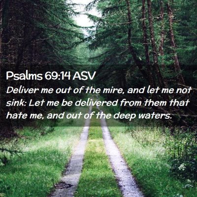 Picture 02 - Psalms 69:14 ASV - Deliver me out of the mire, and let me not sink: - Bible Verse Picture
