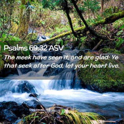 Picture 02 - Psalms 69:32 ASV - The meek have seen it, and are glad: Ye that seek - Bible Verse Picture