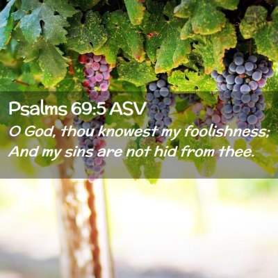Picture 02 - Psalms 69:5 ASV - O God, thou knowest my foolishness; And my sins - Bible Verse Picture